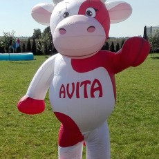Costume of an inflatable cow 2,4m Avita